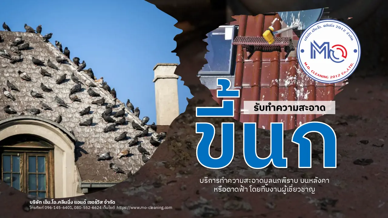 รับทำความสะอาดขี้นก